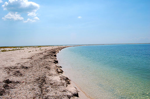 острів Бірючий