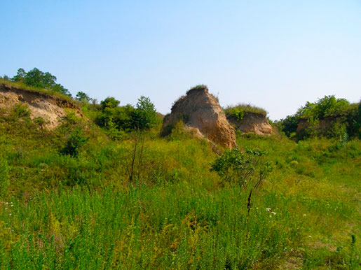 Іллінецький кратер