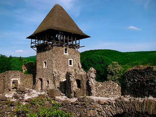 Невицкий замок