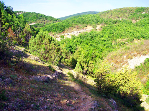 Байдарская долина