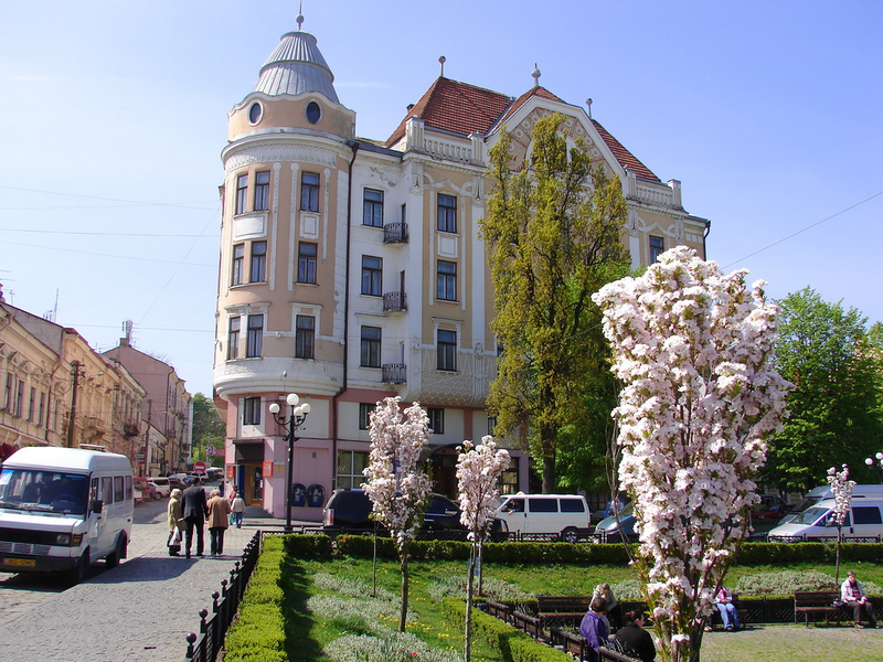 Сакура в Чернівцях