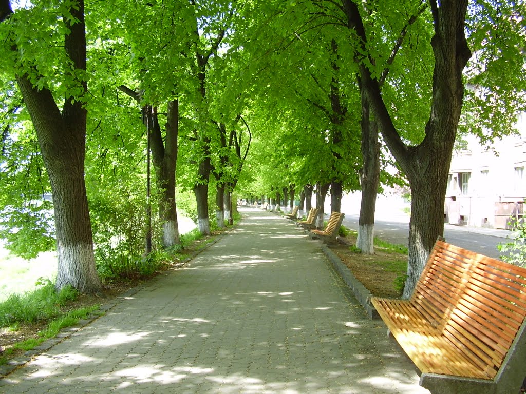 Липова алея, Ужгород