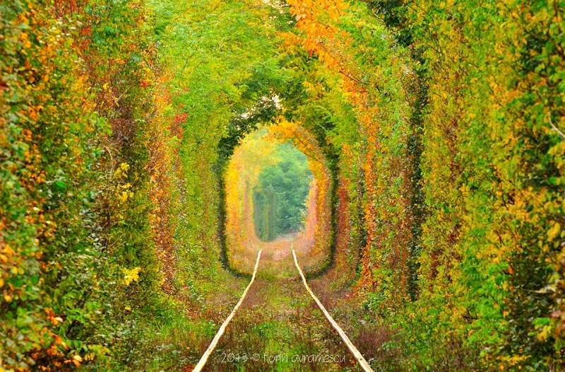 Тунель кохання, Клевань